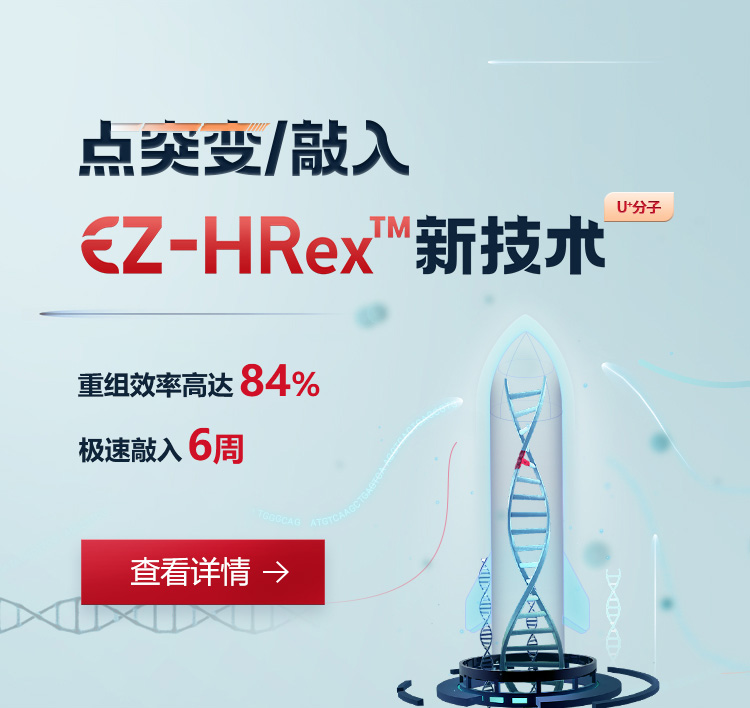 EZ-HRex