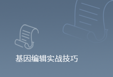 CRISPR/Cas9构建稳定敲除细胞系的实用指南—— 从 sgRNA 设计到单克隆验证的系统流程